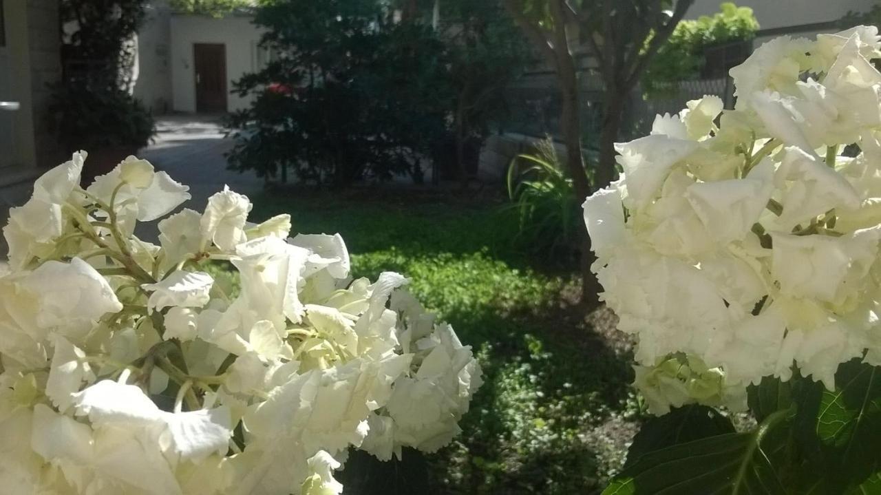 Apartman Renata Omiš Exterior foto
